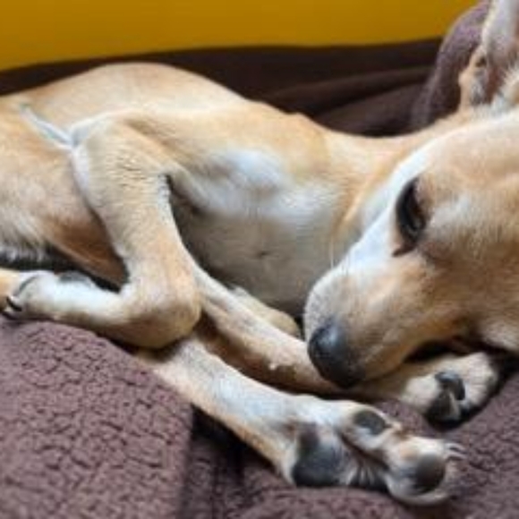 Meet your Posher, Melissa - Picture 10 of 11